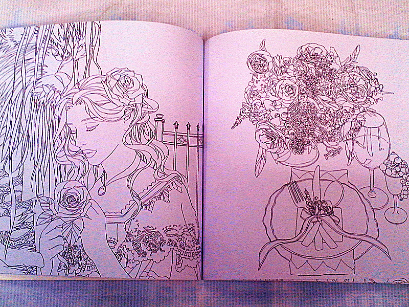 2016年最新版英语版本的手绘彩色秘密花园涂色本细节图