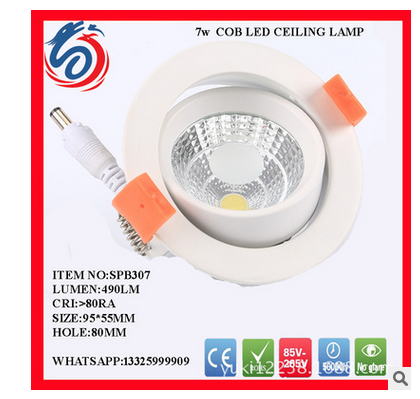 LED down light COB Down light COB spot light