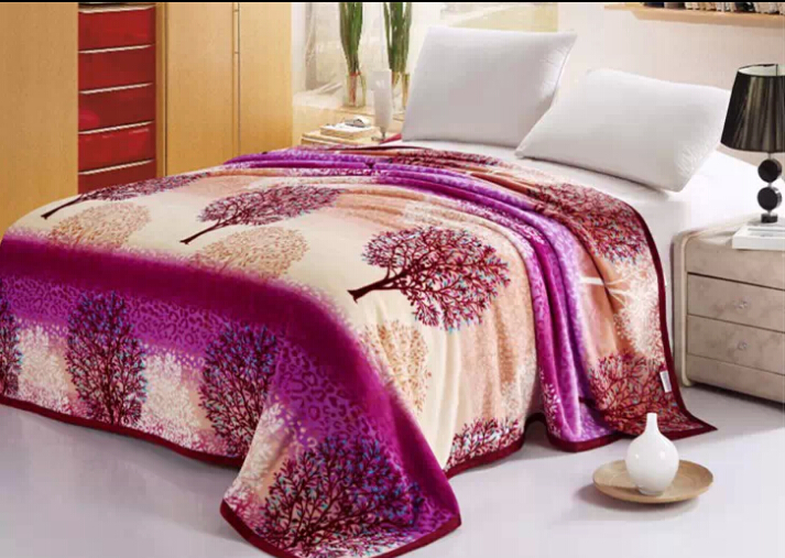 厂家直销 春秋新品法兰绒毯子 毛毯图