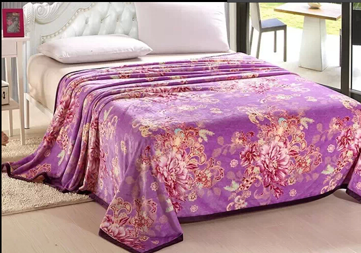 Factory Direct Sales Double Layer Composite Cloud Blanket 200*230Cm 2.6 Kg Application Scenario