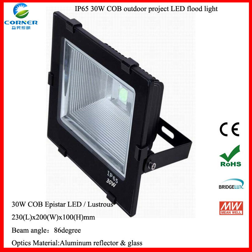New LED projection lamp 30W50W100W new COB chip
