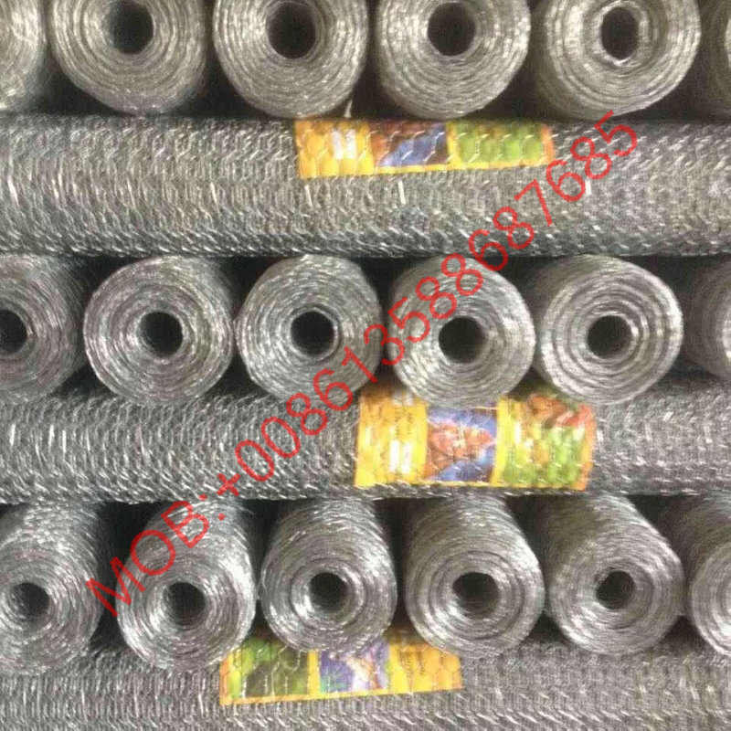 镀锌六角网 hexagonal wire mesh