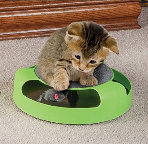猫抓老鼠板宠物玩具catch the mouseTV火爆产品