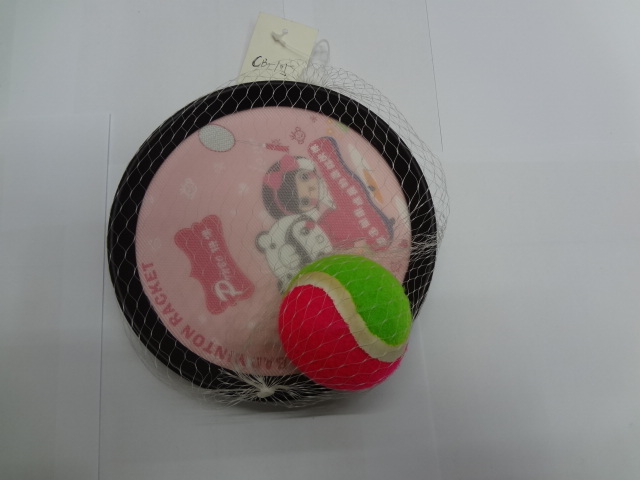 粘蝇纸/苍蝇拍实物图