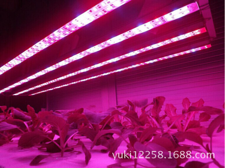 LED大功率植物生长灯管 大功率补光灯管 厂家 7.5W产品图