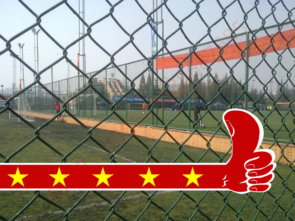 44PVC wire mesh stadium fence, exit fence net, hook mesh, diamond mesh factory