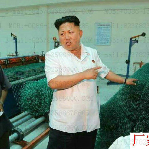 Kim Jong UN inspects barbed wire factory blade barbed rope hook mesh fence mesh