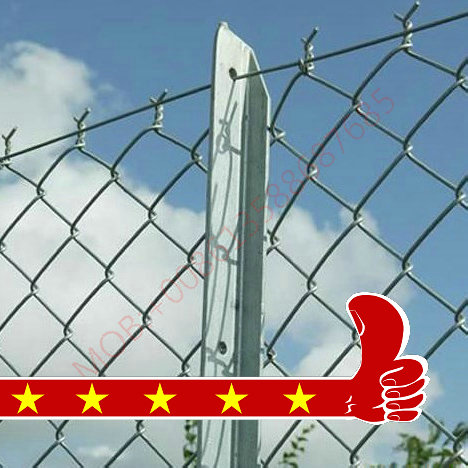 Red Dragon galvanized hook mesh PVC diamond mesh stadium fence thumbnail