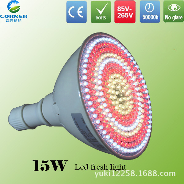 ED Pork Fresh Light Market seafood light lamp special lamp 15w30W35W