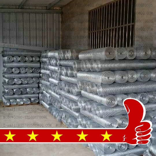 Galvanized square mesh iron window screen wire mesh window screen