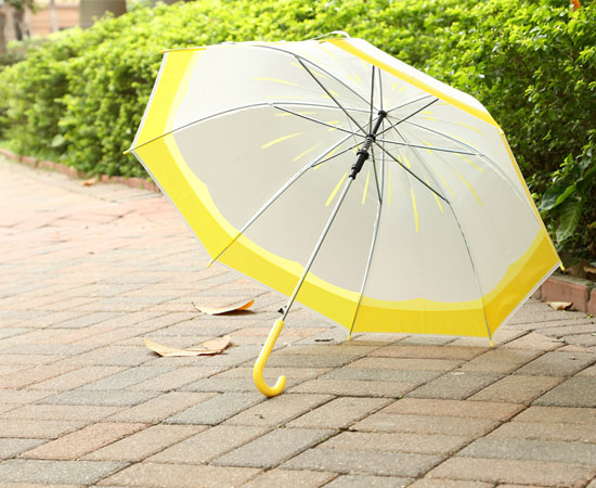 Cartoon long handle student umbrella transparent umbrella jelly - colored umbrella