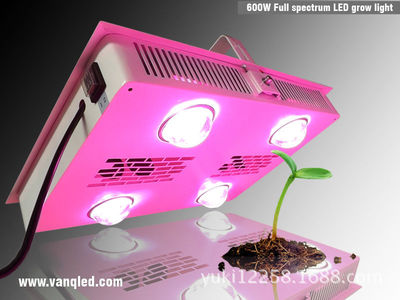 LED 大功率补光灯 植物生长灯厂家 600W