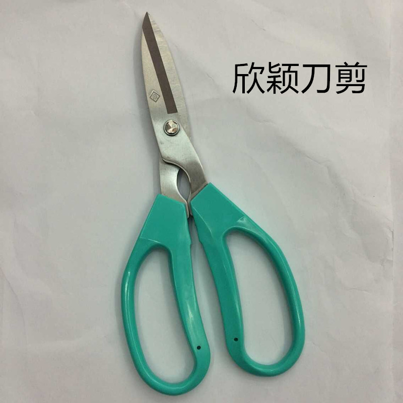 Shanghai Zhang Xiaoquan Household Scissors Stainless Steel Scissors Office Scissors details Picture