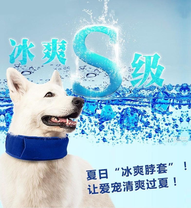Pet cooling collar Dog collar Dog chain Dog cooling collar Cat cooling collar