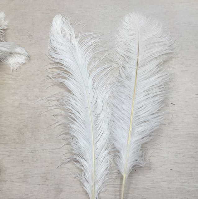 2023 New Factory Direct Sales 2023 New Factory Direct Sales Ostrich Feather Rod 60-65 details Picture