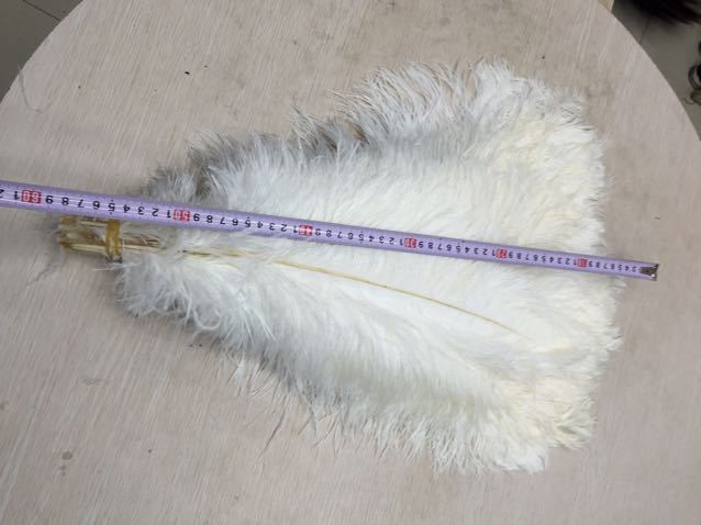 2023 New Factory Direct Sales 2023 New Factory Direct Sales Ostrich Feather Rod 55-60 details Picture