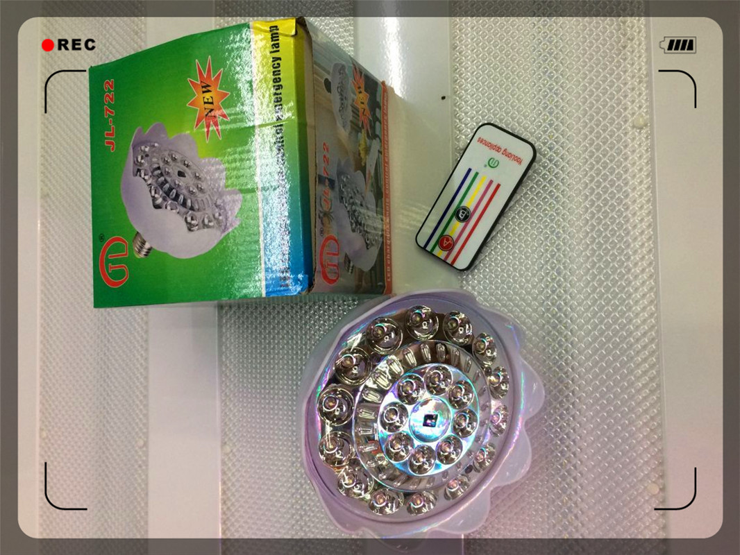 22LED花朵型莲花灯佛灯家庭照明灯可应急带遥控可调光