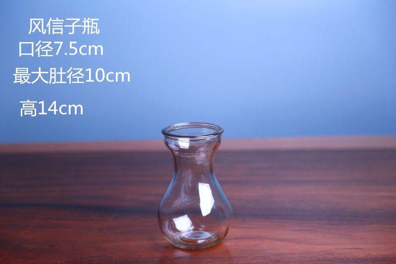 水培透明玻璃花瓶花器 简约时尚台面客厅插花瓶 风信子花瓶
