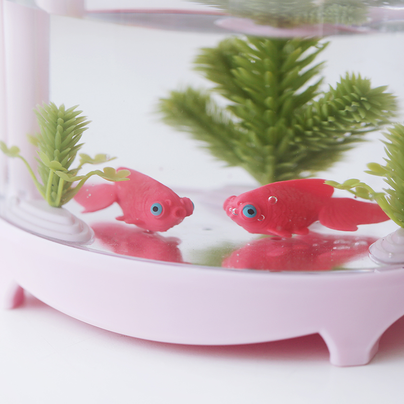 水族箱实物图