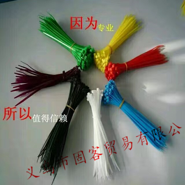 白色塑料自锁式尼龙扎带封条 塑料扣束带线带批发