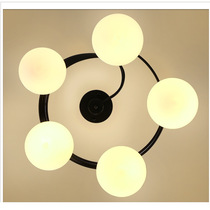Creative paint, iron art, suction dome light, spherical blown glass dining room light, American country house lighting