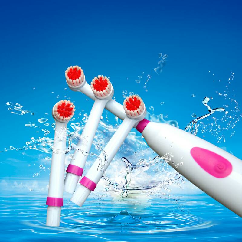 Electric Toothbrush Waterproof Rotary Send Two Toothbrush Head Manufacturers Direct Specification drawing