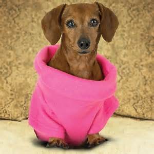 Cozy doggie blanket Pet blanket Animal blanket details Picture