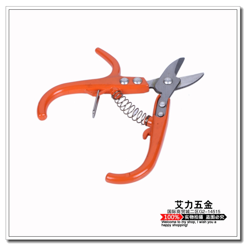 摘果剪 葡萄剪 树花木修枝 园林绿化工具产品图