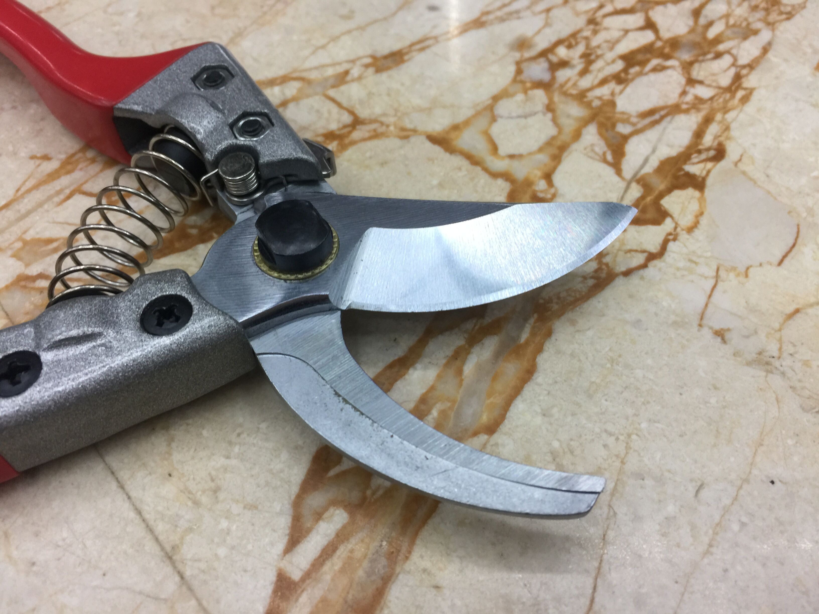 Pruning pruning pruning pruning fruit tree pruning pruning gardening scissors thumbnail