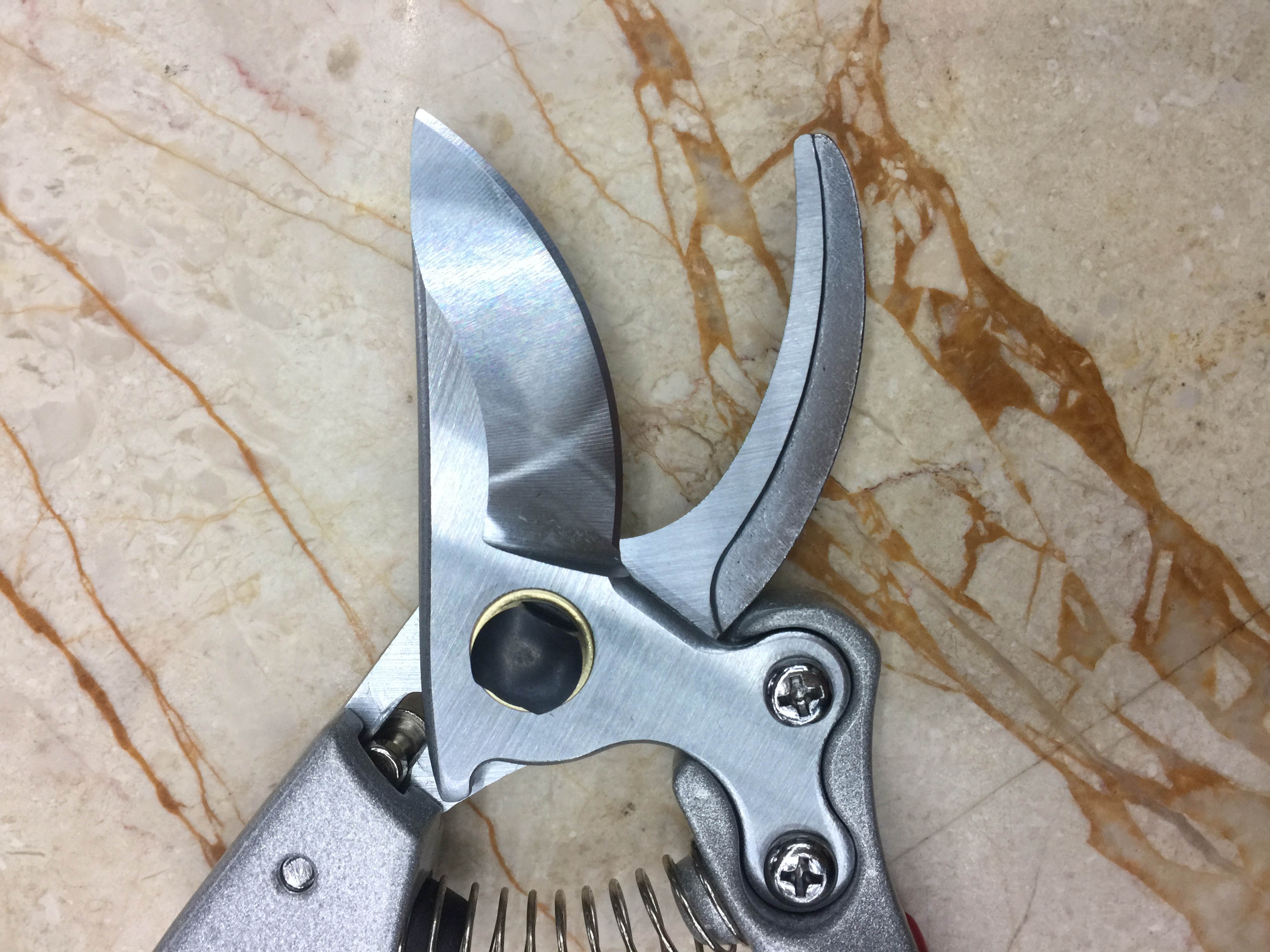 Pruning pruning pruning pruning fruit tree pruning pruning gardening scissors thumbnail