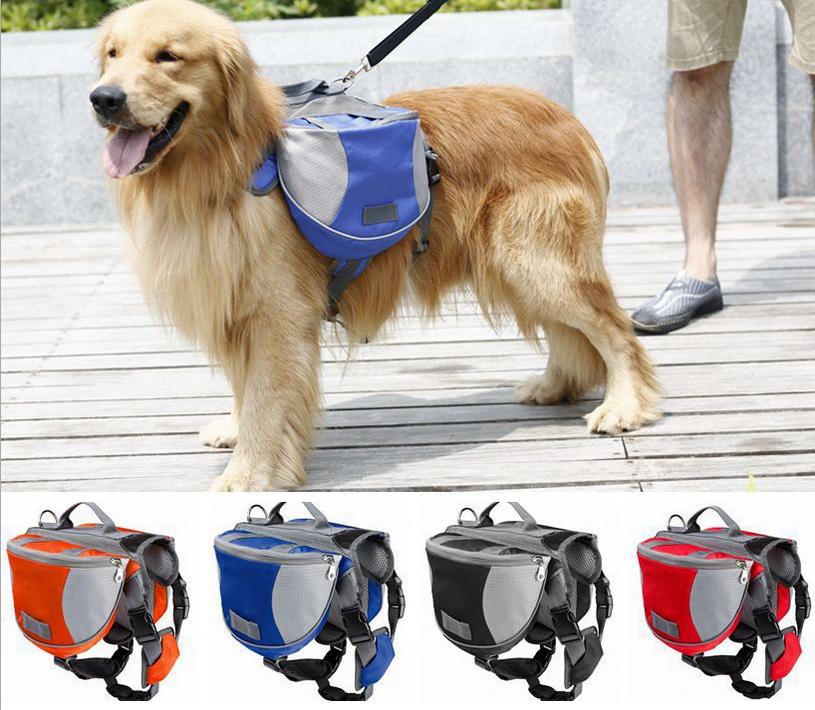 ibuck loves the buck pet pack from the backpack