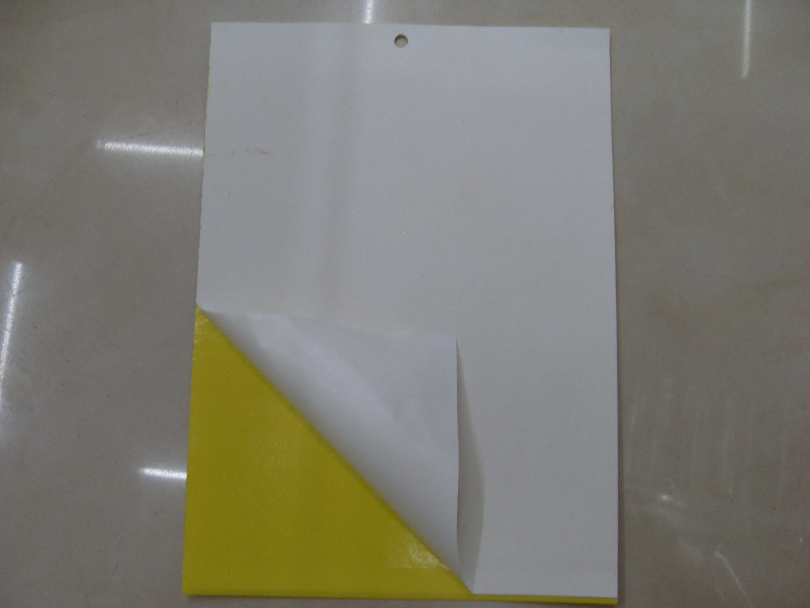 厂家直销粘虫板飞虫 双面涂胶 绿色环保 大棚 果园 茶园专用细节图
