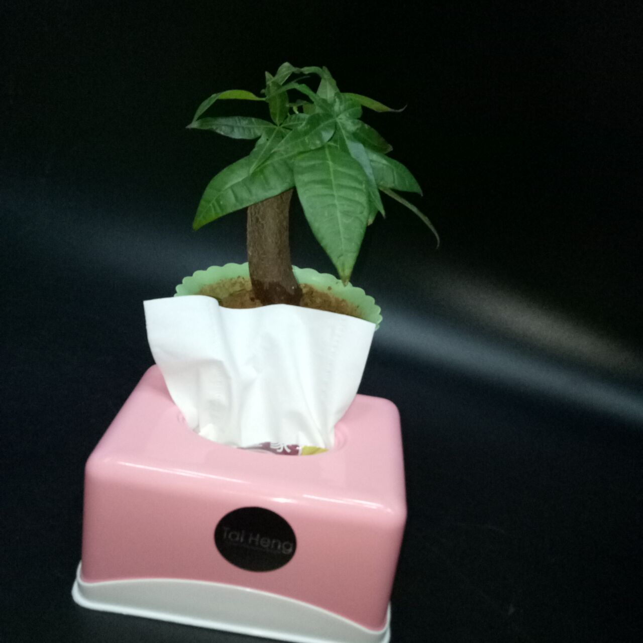 长方形纸巾盒家用抽纸盒纸抽盒多功能家居塑料纸巾筒餐巾盒