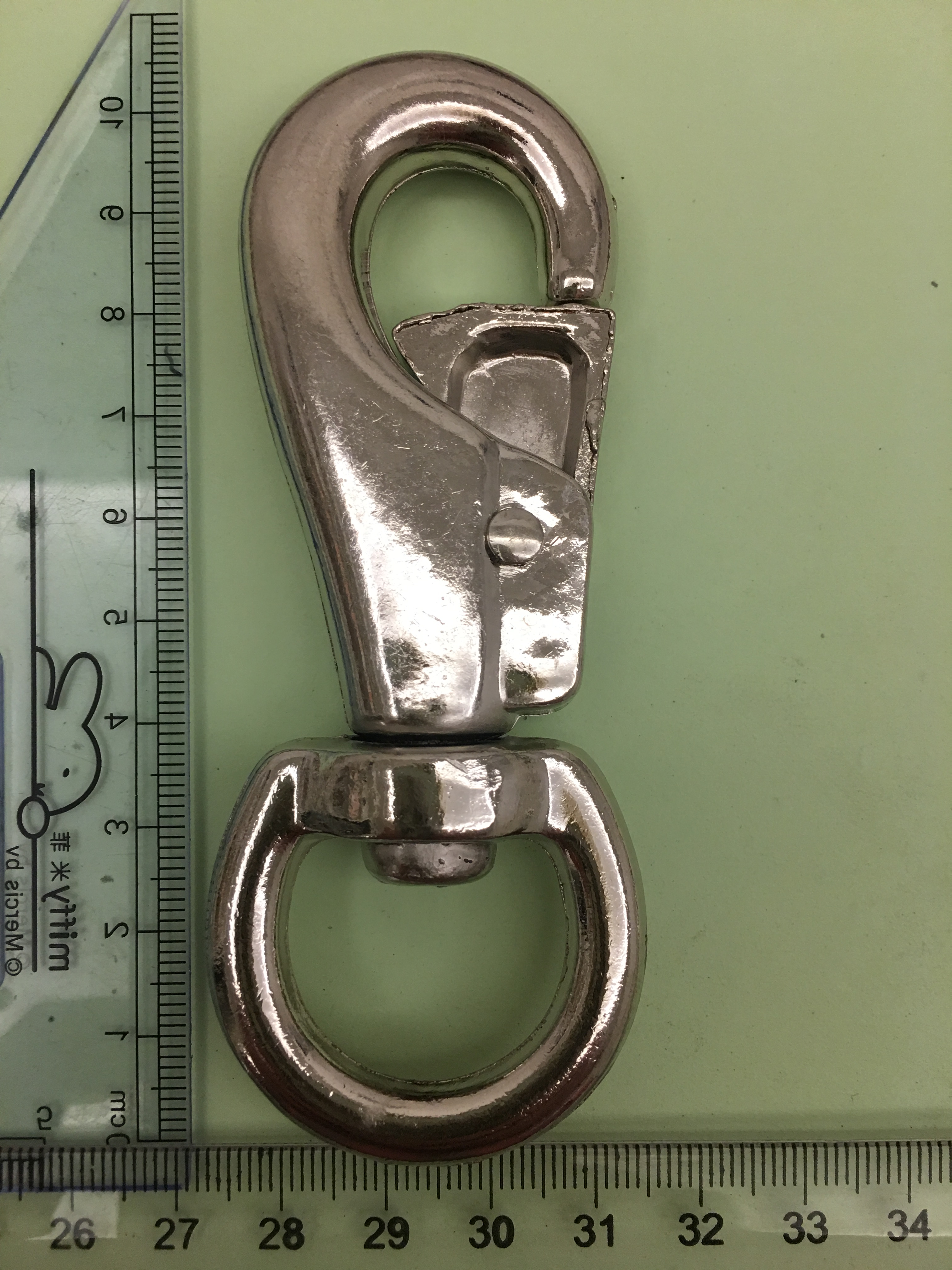 Pet keychain, keyring