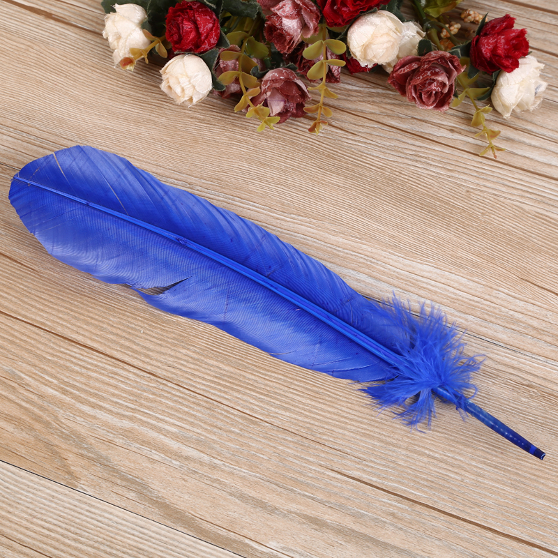 Turkey Nest Antelope, A Variety Of Colors In The Spot Factory Direct details Picture
