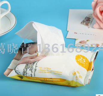25 pieces of beauty wet wipes, hand and mouth wet wipes, wet tissues, softening wet wipes, portable small bag Specification image
