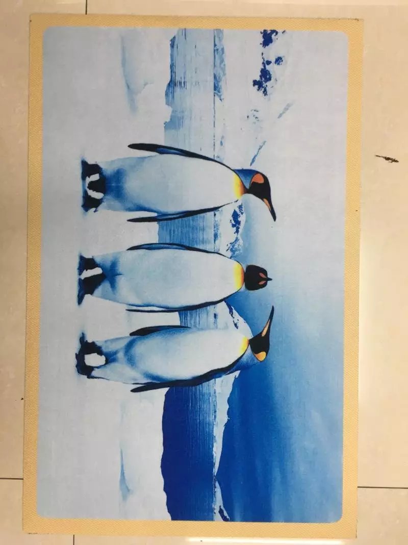 Printed mat, color-printed mat, floor mat, door mat, foot mat, anti-slip mat, high-definition printed foot mat, 40*60cm details Picture