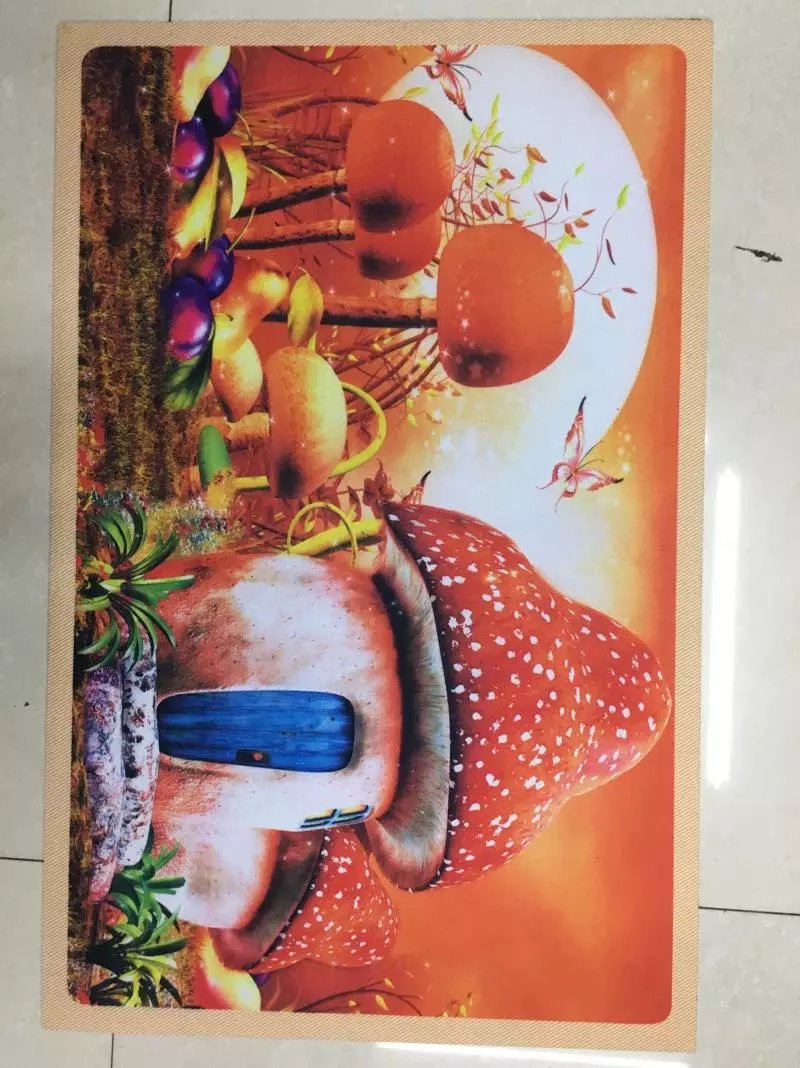 Printed mat, color-printed mat, floor mat, door mat, foot mat, anti-slip mat, high-definition printed foot mat, 40*60cm full figure