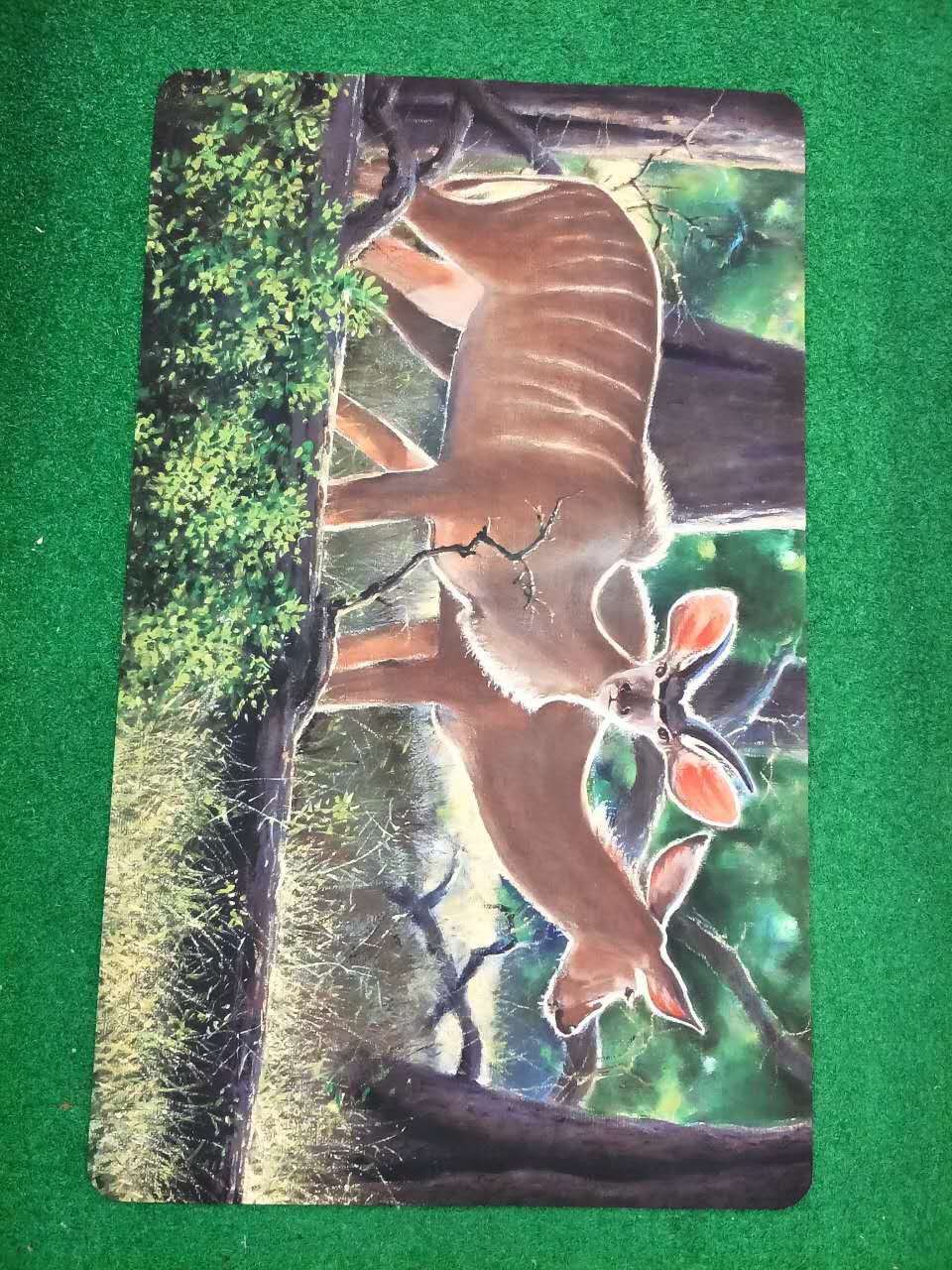 New type of floor mat with heat transfer printed cartoon pattern floor mat Application Scenario