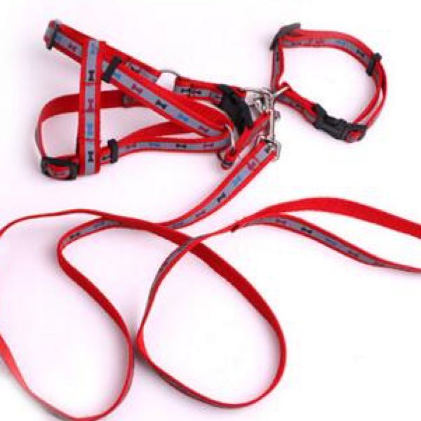 双面七彩色尼龙带 反光宠物尼龙带 细纹尼龙带宠物绳