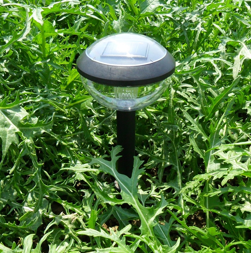 Solar-powered lawn with floor lights