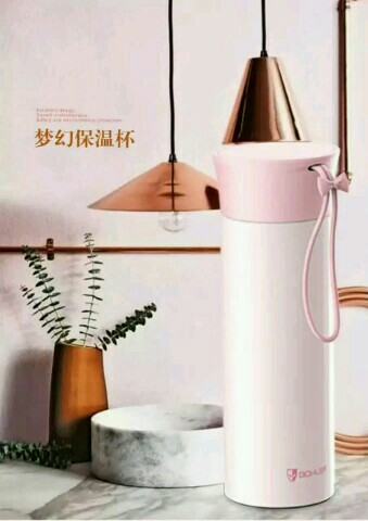 Dream thermos cup