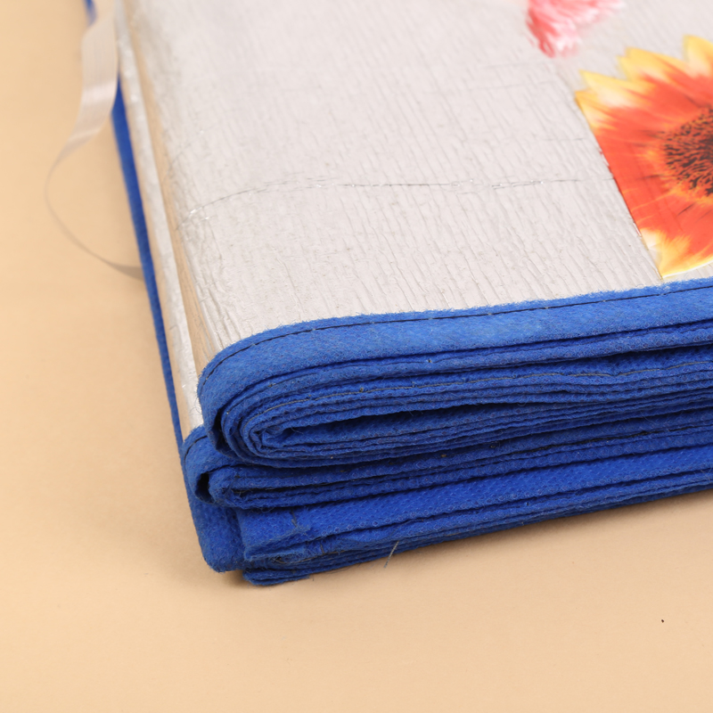 Bed Straw Silk Silver Film Material Leisure Beach Mat Outdoor Mat Antibacterial Bed Mat Single Winter Thickened Mattress Cover Protective Cover Mat Application Scenario