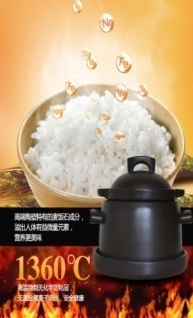 嘉炖 养生饭煲 JDFB15