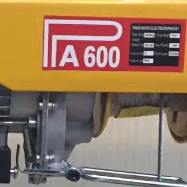 Small crane micro electric hoist 220V micro electric with emergency stop PA600 ohm plug Application Scenario