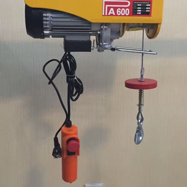 Small crane micro electric hoist 220V micro electric with emergency stop PA600 ohm plug details Picture