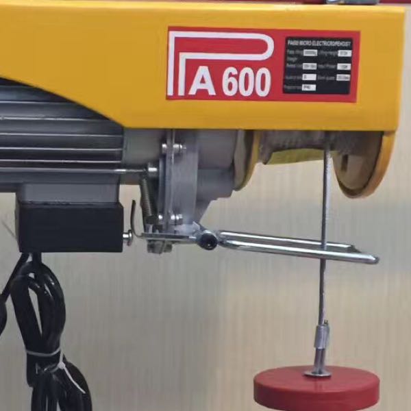 Yiwu Haohuo micro electric hoist 220V small crane PA600 model with brake details Picture