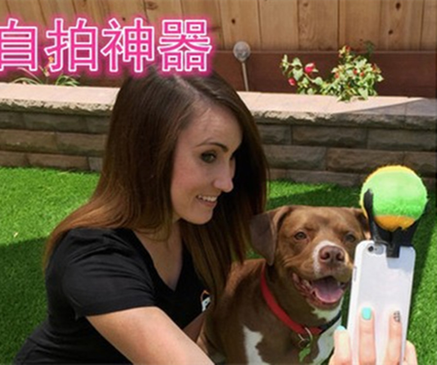 New creative dog self-timer Tennis self-timer New pet dog self-timer Specification drawing