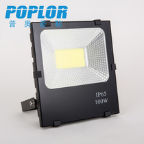 LED black gold rigid floodlight 30W Floodlight waterproof outdoor project lighting