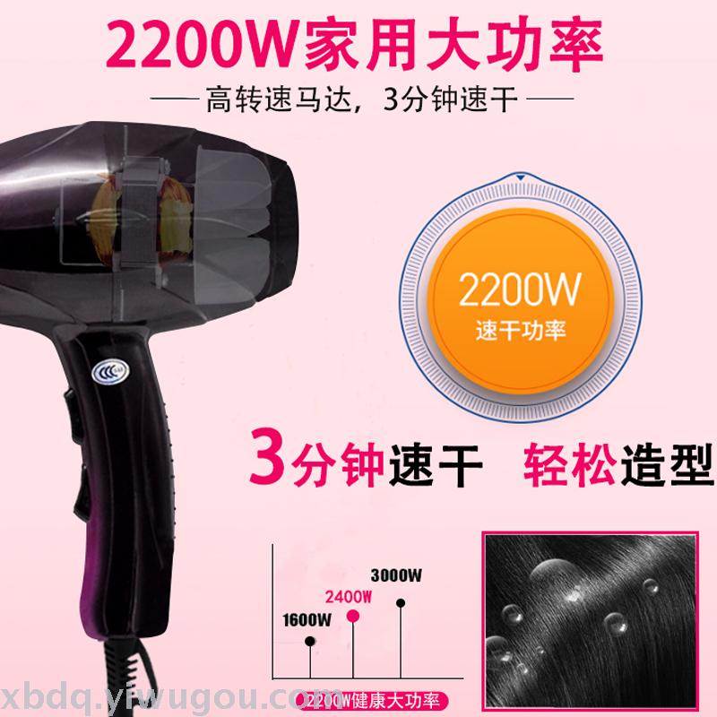 DL8820A anion home hair dryer hair dryer